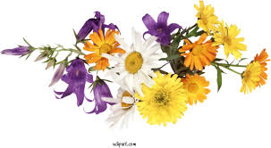 Maybe you would like to learn more about one of these? Flowers Gif Vitam Vas Recording For Flower Clipart Flower Clipart Clipart Flowers Clip Art