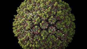 Nfts Are Shaking Up The Art World Are They Also Fueling Climate Change The New York Times