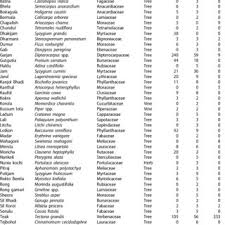 Image result for Pseudoeriosema borianii