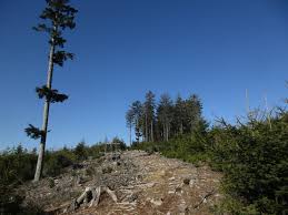 Celá oblast brd se nachází v prostoru jihovýchodního křídla barrandienu, které se zde stýká se středočeským plutonem. Cz Brdce The Sixth Highest Peak Of The Brdy En Infoglobe Cz