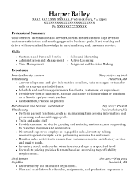 20+ best beauty advisor resumes