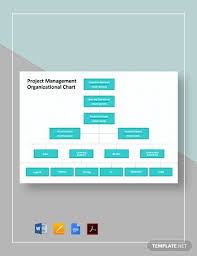 Sample Project Organization Chart 14 Free Documents In