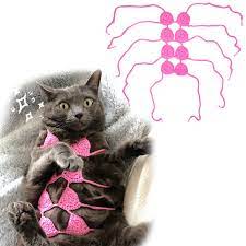 Amazon.com : Pet Cat Bikini,Pure Handmade Cat Costume Funny Pet Clothes  Small Dog Costumes Clothes(Rose, Large) : Pet Supplies