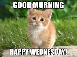 See more ideas about good morning wishes, morning wish, good morning quotes. 36 Funny Happy Wednesday Memes