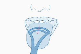 Tongue retaining devices focus on addressing your snoring by way of your tongue. How To End Bad Breath The Modern Approach Gently By Curaden