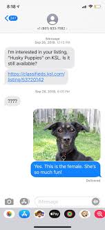 Ksl classifieds appbuy and sell in just minutes open. Tanner Martin On Twitter Just Realized It S Been A Year Since Some Idiot Put My Number Up On Ksl Saying I Was Giving Away Free Husky Puppies And I Got Over 500