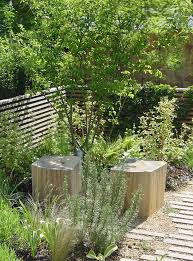 Multi Stemmed Amelanchier Lamarckii In 2020 Courtyard Gardens Design Garden Bench Diy Outdoor Landscaping