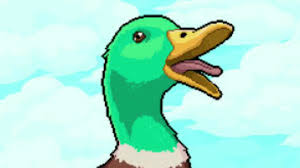 Beastboyshub Quack Duck Sound Nocopyright Plz Subscribe Youtube