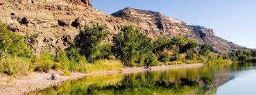 Check spelling or type a new query. James M Robb Colorado River State Park Colorado River Island Acres Section Colorado State Parks Rec Colorado Travel Colorado Vacation Whitewater Kayaking