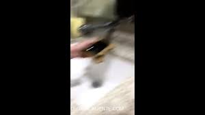 VIDEO TAMARA COJIENDO CON EL NOVIO - EPORNER