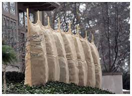 In this article you'll find some guidelines for a successful cedar hedge. Tree Wrapping In Toronto Tree Doctors Inc