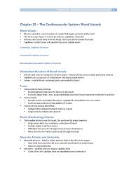 Chapter 19 The Cardiovascular System Blood Vessels Pdf Capillary Anatomy
