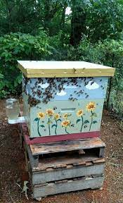 adorable painted hive boxes beehive boxes that are so cute painted bee hives backyard bee bee hives boxes