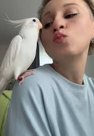 Corella Morgan Cookie