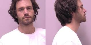 Suburban man stabbed friend inside home: police