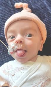 Wesley Patterson Obituary (2023)