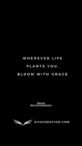 Wherever Life Plants You Bloom With Grace Morning Quotes Inspirational Quotes Quote Of The Day