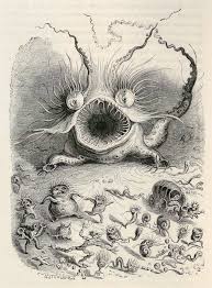 Big Mouthed Bug Eyed Sea Monster Vie Privee Et Publique Des Animaux 1868 J J Grandville E Rara 1868 Sea Animaux In 2020 Art Day Illustration Sea Monsters