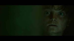 In The Tall Grass (2019)