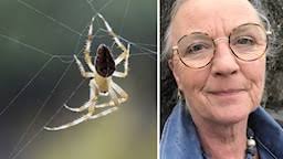 Naturmorgon 12 augusti: här hittar du bilderna till avsnittet