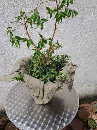 Dabei ist es relativ leicht, damit zu arbeiten. Blumentopf Aus Beton Bauanleitung Zum Selberbauen 1 2 Do Com Deine Heimwerker Community