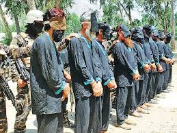 Among those killed were qari khalil, known as abu omar, in charge of the taliban's tithes and zakat. 165 Taliban Militants Killed In Afghanistan