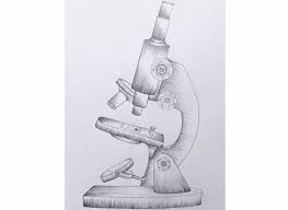 See full list on easydrawingart.com How To Draw A Microscope Step By Step