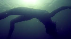 Locked In: The Victoria Arlen Story