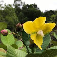  isc micro precision sdn bhd (ipoh plant). Isc Micro Precision Sdn Bhd Local Business Facebook