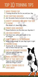 How To Teach A Dog To Shake Hand Shaking High Five And Waving Dog Training Tips Puppy Training Puppy Training Tips