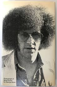 Mick Farren's Fiction Factory — Peter Stanfield