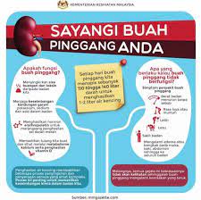 Mempraktekkan cara merawat trucukan memang menjadi sebuah aktivitas yang menyenangkan cara merawat trucukan ombyokan agar cepat ropel. 10 Cara Mencegah Sakit Buah Pinggang Cariblogger Com