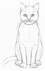 Our free coloring pages for adults and kids, range from star wars to mickey mouse How To Draw A Realistic Cat Step By Step Udemy Blog