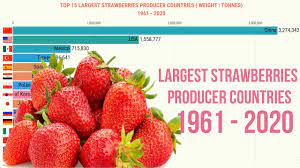 However, he will be 22 years old in 2020, while another stalwart of the european industry, dubawi, turns 18. Top 15 Largest Strawberry Producer Countries 1961 2020 Youtube