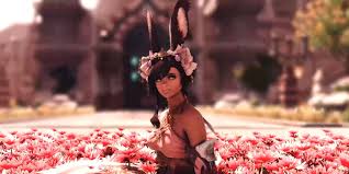 Miscellany sell price to vendor: Final Fantasy Xiv How To Unlock New Viera Hairstyles