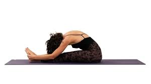 Paschimottanasana Seated Forward Bend Pose Gaia