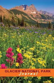 The walk features panoramic views of the livingston and lewis ranges along with excellent wildlife viewing opportunities. Glacier National Park Journal Wildflowers And The Garden Wall Huzzah Publishing Metcalf Mcconnell Miantae 9780998935201 Amazon Com Books