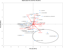 Image result for Leucas milanjiana