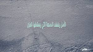 Https Xn Mgb9cdf Net D8 A7 D9 84 D8 Ad D8 B2 D9 86