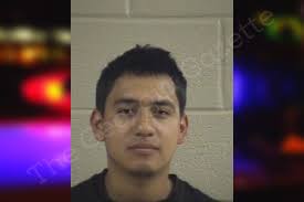 Carlos Celestino-Vera — Whitfield County Jail Bookings