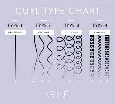 The program is written in c and is used to transfer data into computer. Curl Patterns 101 What S Your Curl Type Keune Educationkeune Education