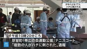 NHK - News update