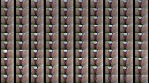 Fuzy Pusy - XNXX.COM