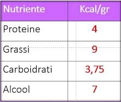 Tabella alimenti proteine grassi carboidrati calorie e colesterolo riferiti a 100gr. Come Calcolare Le Calorie Per Dimagrire Senza Fatica Comemangiaresano It