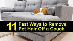 I just made a tunafish sandwich for lunch, and i always give our 2 rescue kitties the tuna water. 11 Fast Ways To Remove Pet Hair Off A Couch