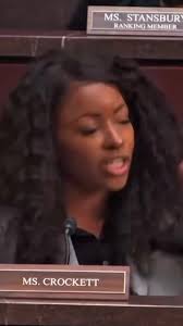 Jasmine Crockett Challenges DOGE Subcommittee Priorities