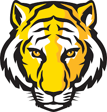 Pin By Neuzamariareisreis On Eric Carle Tiger Face Drawing Tiger Images Tiger Face