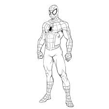 Superheroes drawing is very popular around the world, they portrait spiderman strong and brave, he always fought against injustice and conquer evil. 3 Ways To Draw Spiderman Improveyourdrawings Com Spiderman Drawing Spiderman Art Spiderman