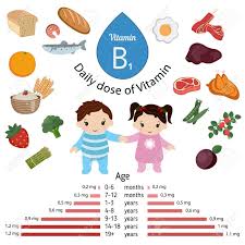 Vitamin b1 is a vital vitamin belonging to the family of b complex vitamins. Vitamin B1 Oder Thiamin Und Vektor Set Von Vitamin B1 Reiche Lebensmittel Gesunde Lebensstil Und Diat Konzept Tagliches Dosen Von Vitamin B1 Lizenzfrei Nutzbare Vektorgrafiken Clip Arts Illustrationen Image 80310203