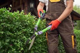 Trugreen was founded in 1973 in troy, mi, and is now the leading lawn care company in north america serving more than 2.5 million residential and commercial customers with lawn, tree and shrub care along with mosquito control. Trugreen Lawn Care Trugreen Tree And Shrub Care